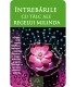 Intrebarile cu talc ale regelui Milinda